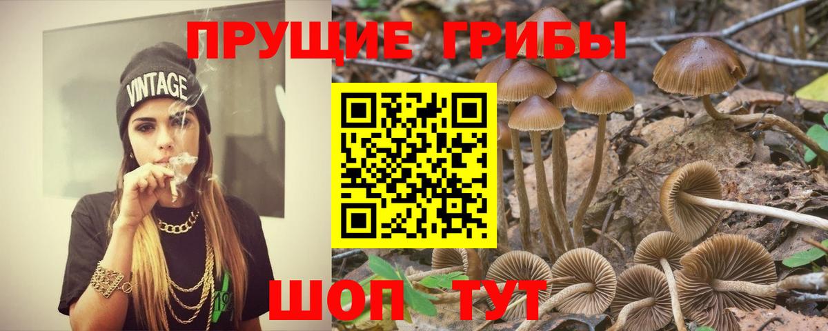 Галлюциногенные грибы мицелий Истра