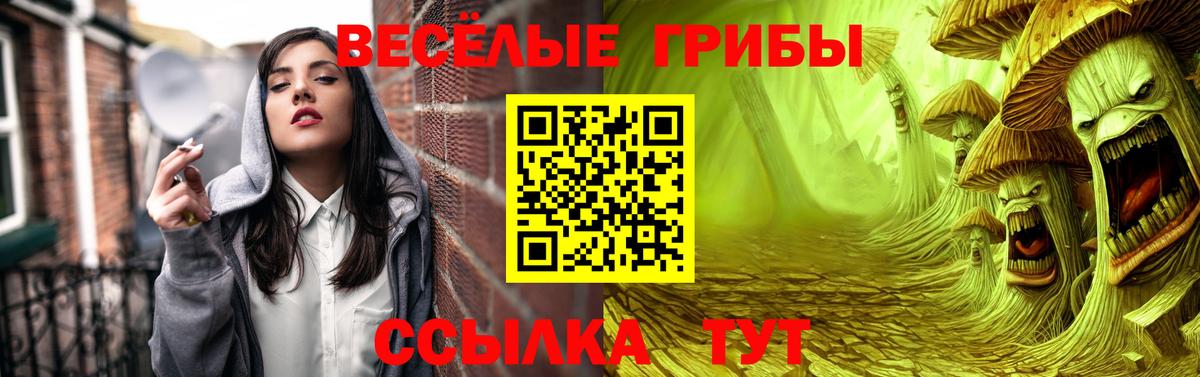 Псилоцибиновые грибы Psilocybe  Вход с VPN  Истра  Галлюциногенные грибы Psilocybine cubensis 